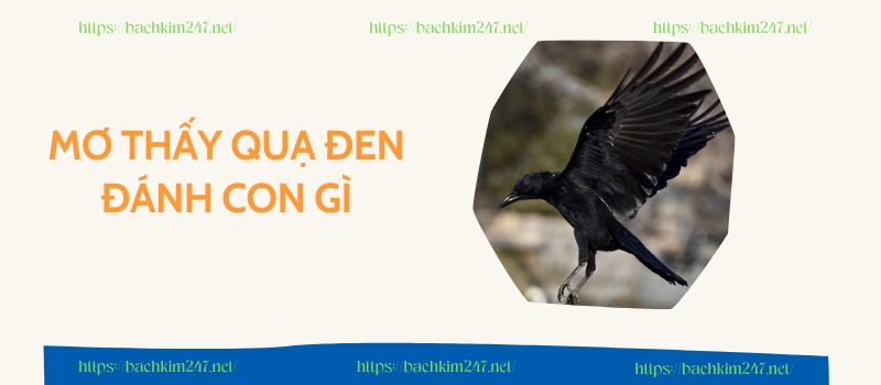 Mơ thấy quạ đen đánh con gì