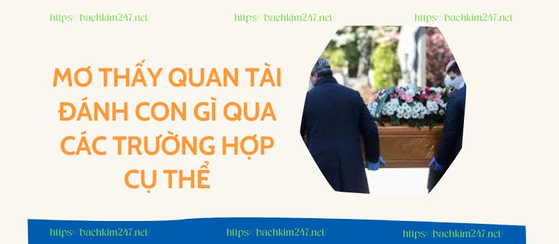 Mơ thấy quan tài đánh con gì qua các trường hợp cụ thể Mơ thấy quan tài đánh con gì qua các trường hợp cụ thể