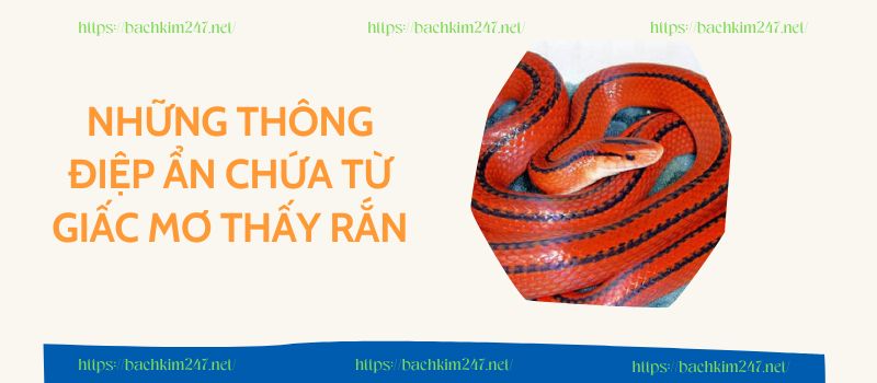 Những thông điệp ẩn chứa từ giấc mơ thấy rắn Những thông điệp ẩn chứa từ giấc mơ thấy rắn