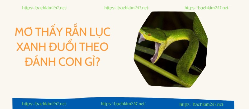 Mơ thấy rắn lục xanh đuổi theo đánh con gì?
