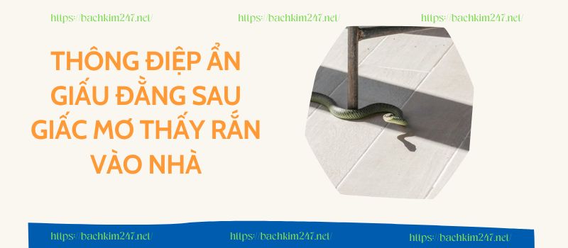 Thông điệp ẩn giấu đằng sau giấc mơ thấy rắn vào nhà Thông điệp ẩn giấu đằng sau giấc mơ thấy rắn vào nhà