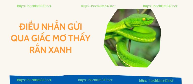 Điều nhắn gửi qua giấc mơ thấy rắn xanh Điều nhắn gửi qua giấc mơ thấy rắn xanh