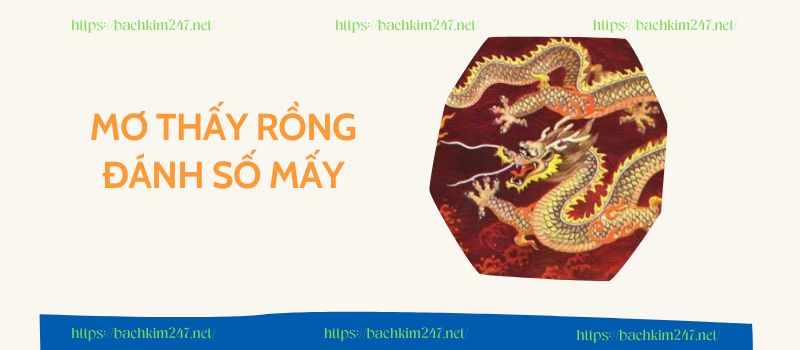 Giải mã giấc mơ thấy rồng đánh số mấy để trúng lớn