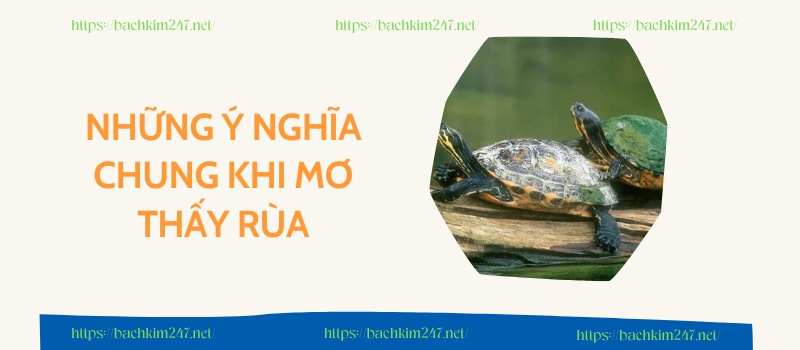 Những ý nghĩa chung khi mơ thấy rùa