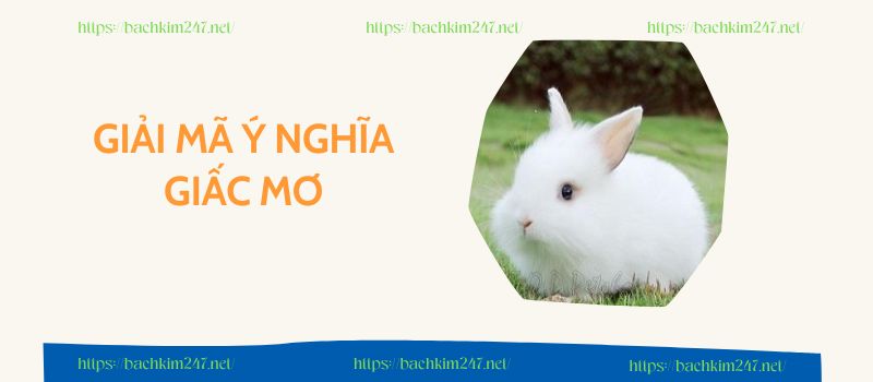 Giấc mơ mang đến tài lộc và sự thịnh vượng