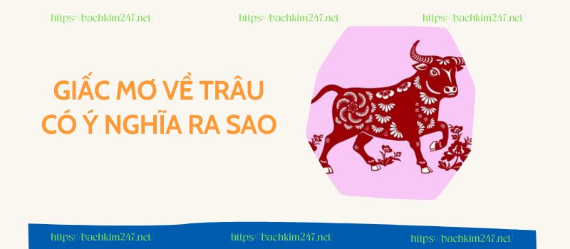 Giấc mơ về trâu có ý nghĩa ra sao