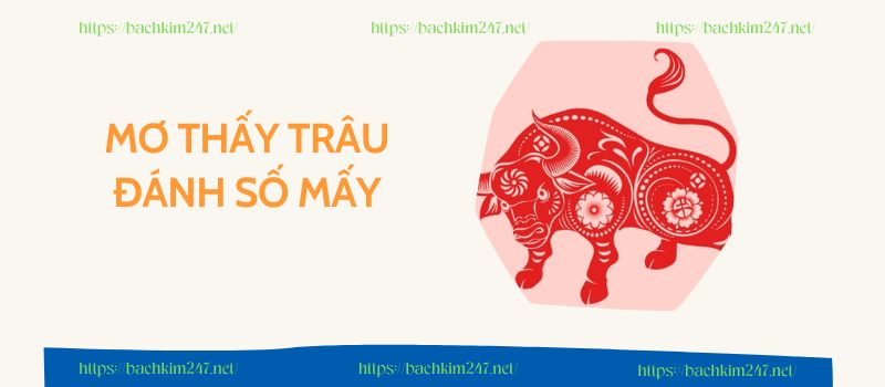 Mơ thấy trâu đánh số mấy để tăng cơ hội trúng lớn