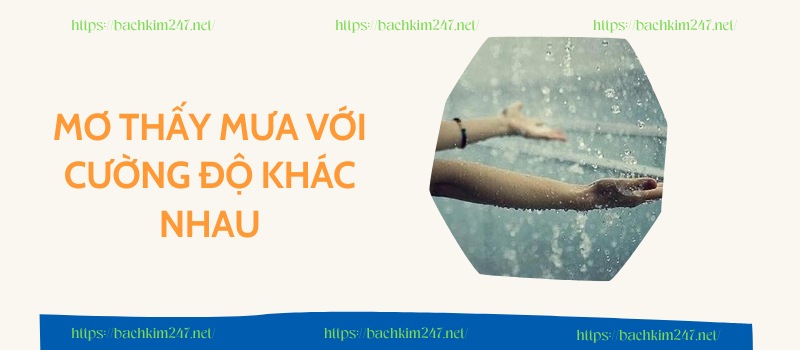 Mơ thấy mưa với cường độ khác nhau Mơ thấy mưa với cường độ khác nhau