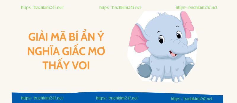 Giải mã bí ẩn ý nghĩa giấc mơ thấy voi