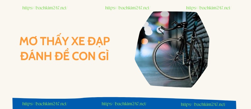 Mơ thấy xe đạp đánh đề con gì 