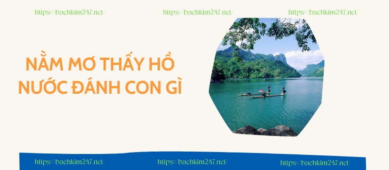  Nằm mơ thấy hồ nước đánh con gì
